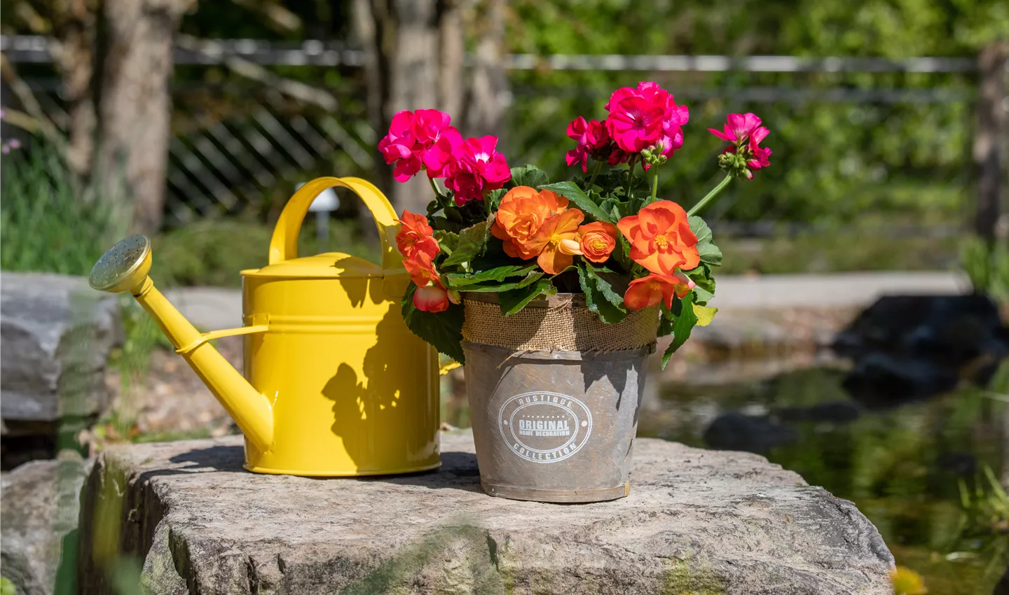 Bepflanzter Übertopf im Gartenambiente Bepflanzter Übertopf im Gartenambiente