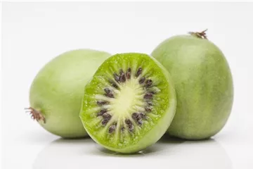 Kiwibeeren: Aromatisch kleine Früchtchen